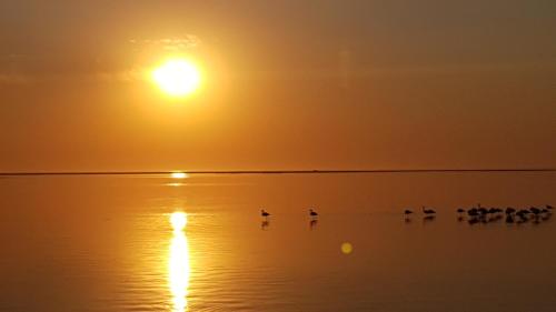Flamingo Cottage no 12 — Walvis Bay — photo 3