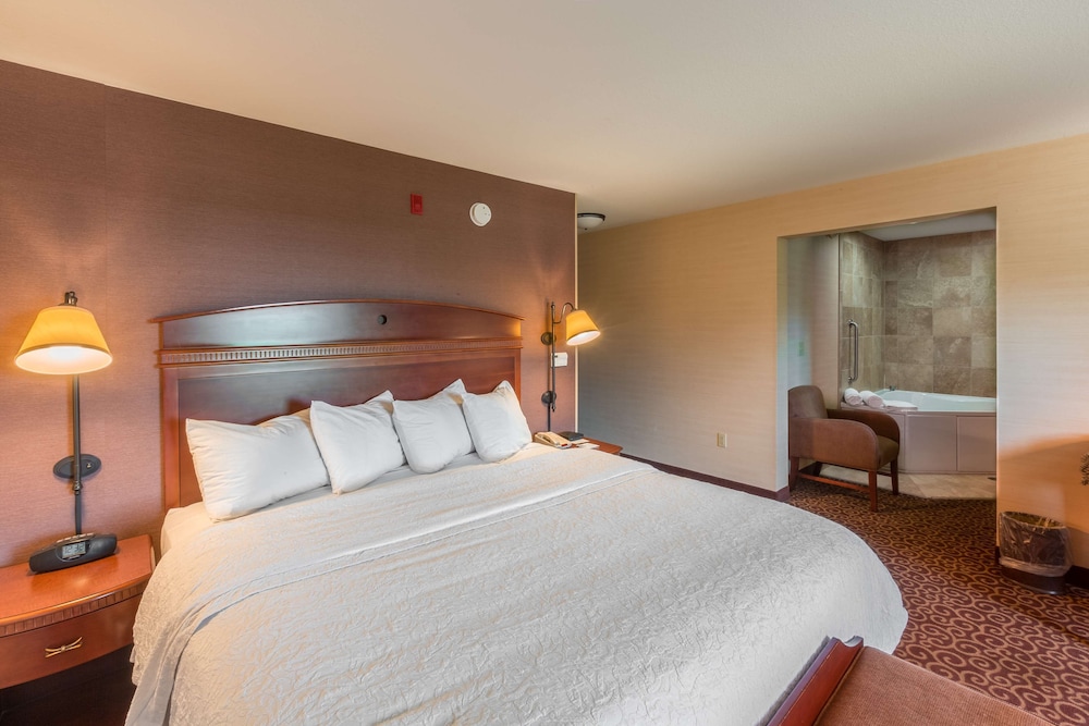 Hampton Inn Goshen - photo 10