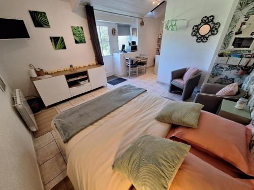 Studio 11 Draps Linge Wifi Longere Bretonne Morbihan — Sulniac