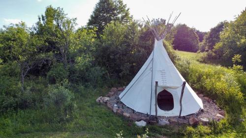Romantic Wildlife Tipi Teepee Tomnatic Bihor Romania Apuseni — Tomnatic — photo 3
