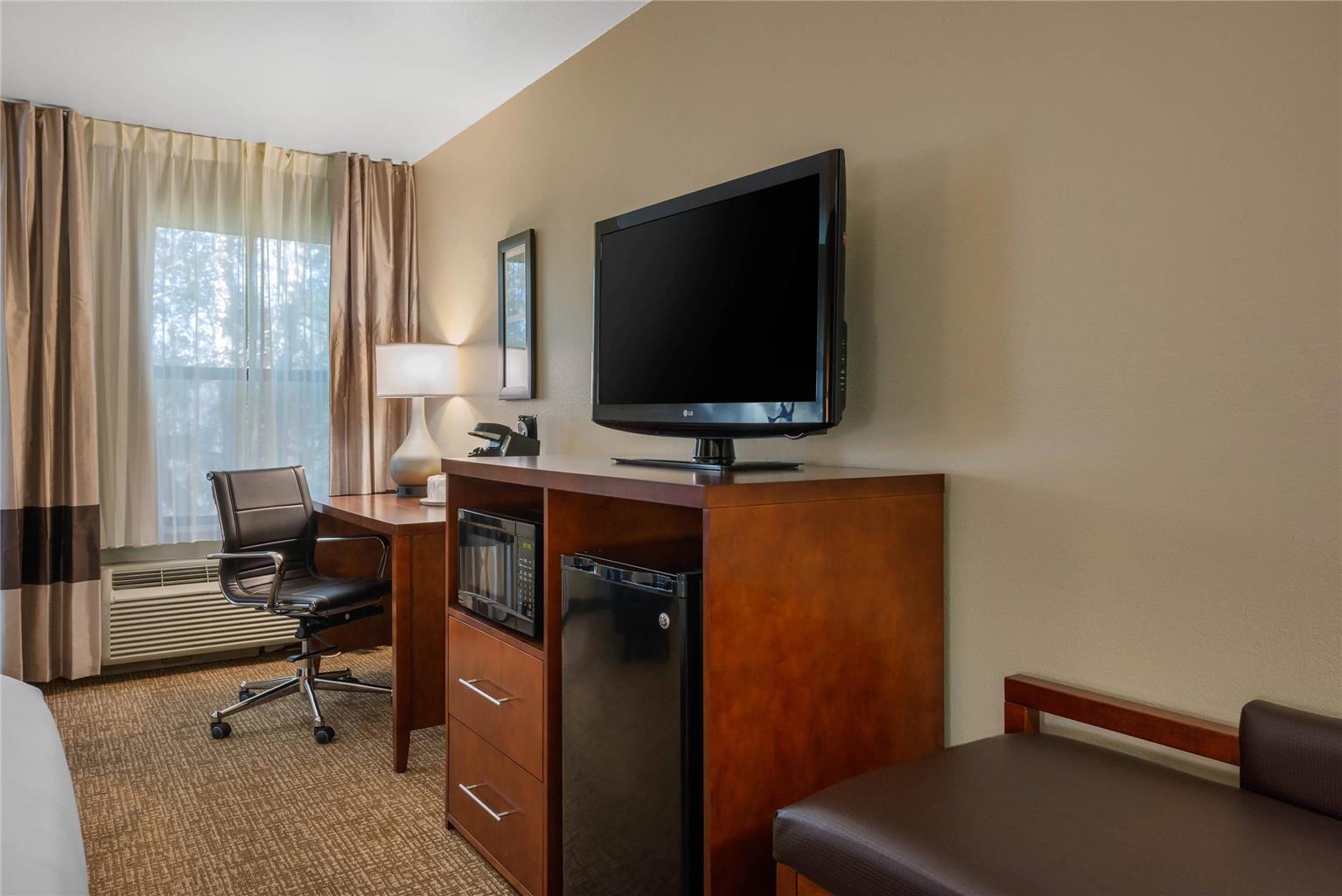 Comfort Inn Ocala Silver Springs - photo 18