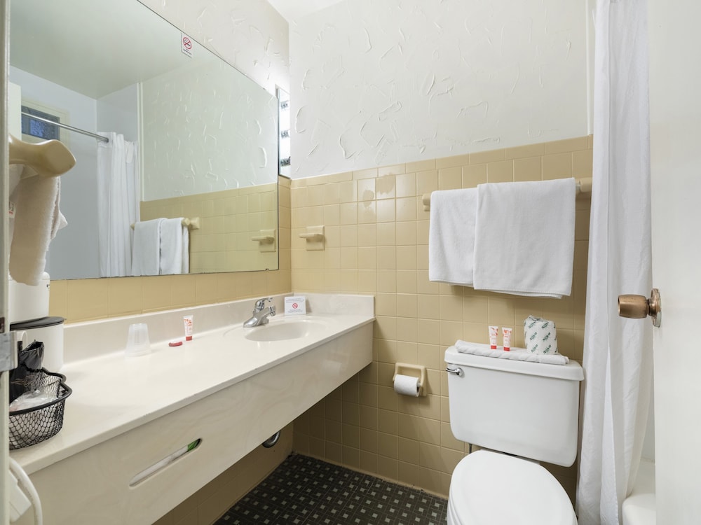 Mansion View Inn and Suite - photo 55