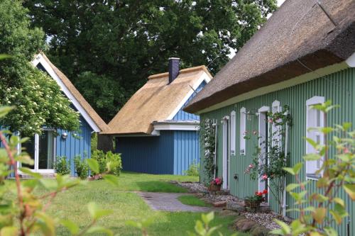 Am Trommelplatz Ferienwohnung 2 — 4-Star Luxury Hotel in Zingst, Germany