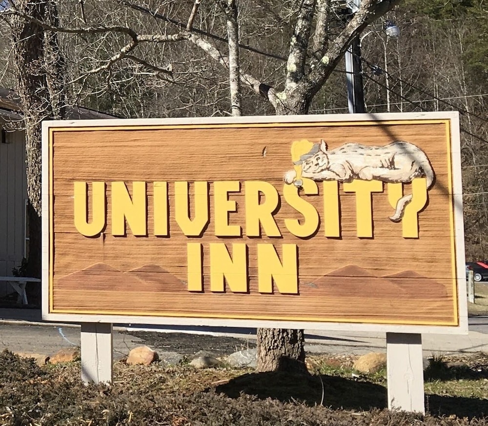 The University Inn - photo 19