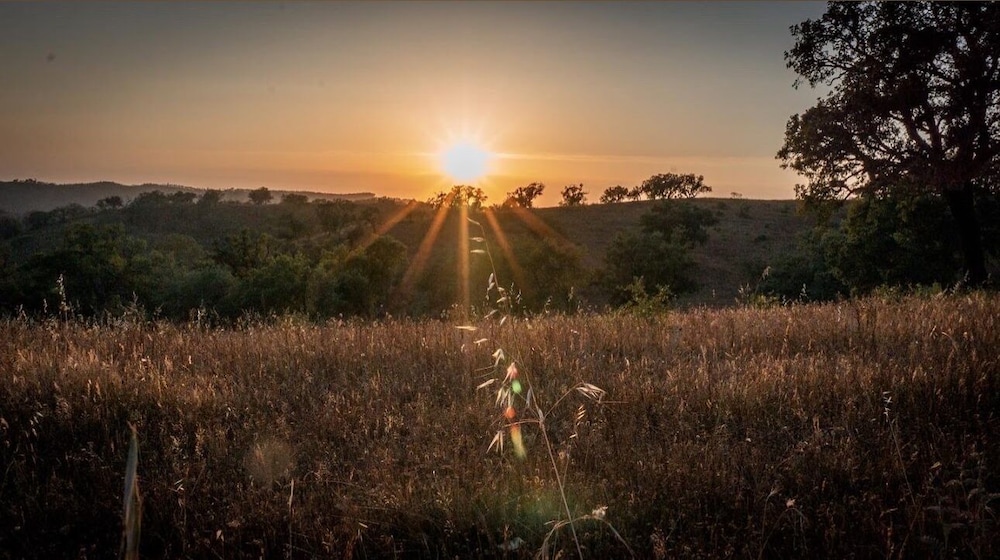 Herdade da Maceira - carbon neutral hotel in Sao Luis