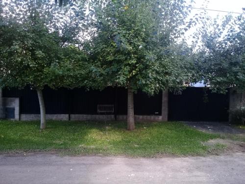 Posta Batata — Parana — photo 3