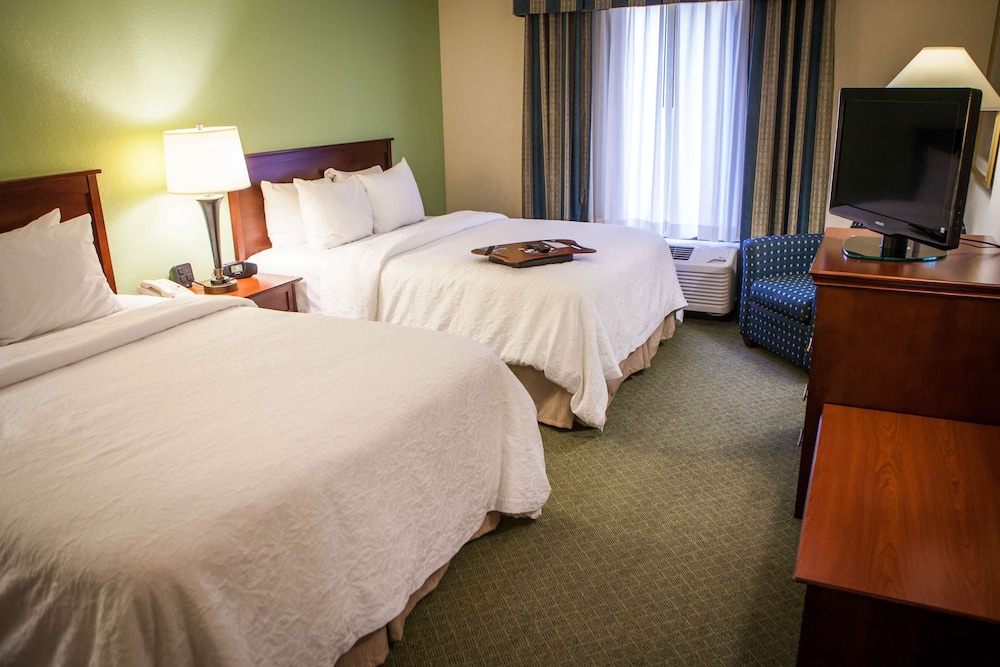 Hampton Inn & Suites Springfield Southwest - photo 20