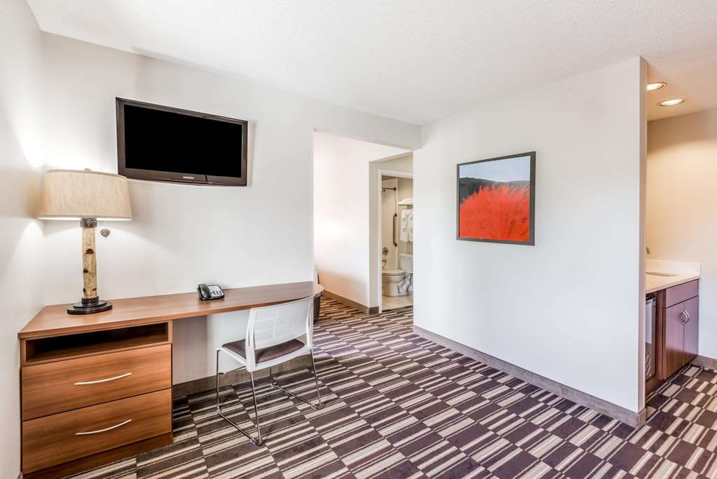 Microtel Inn by Wyndham Victor Rochester - photo 12