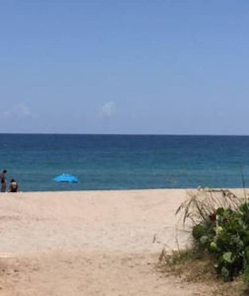 Historic Palm Beach Hotel - photo 34