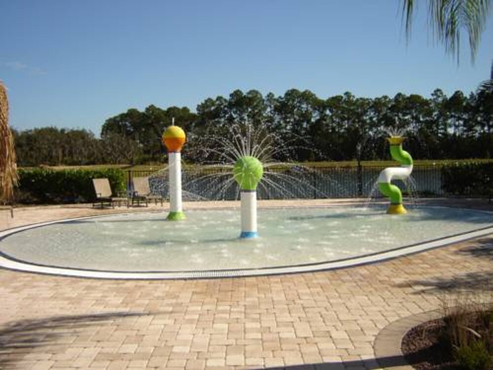 Paradise palms - photo 42