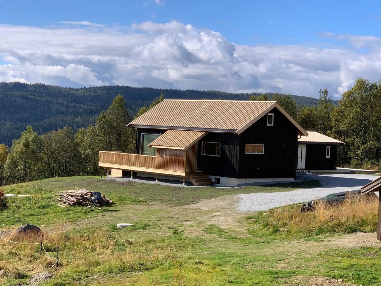 Flott Hytte Sentralt I Hallingdal — Al — photo 2