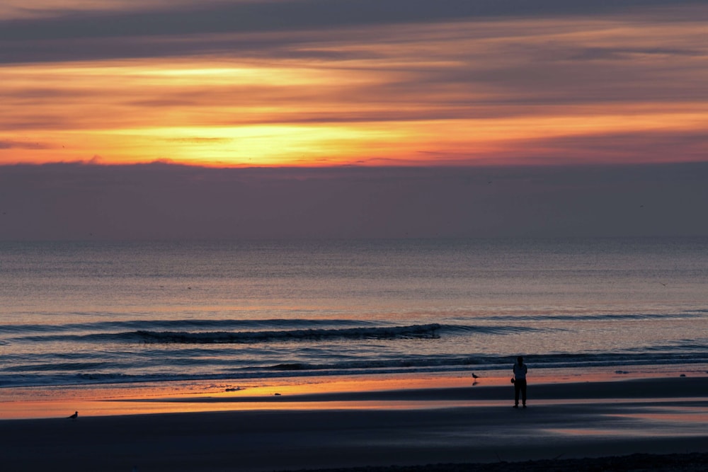 Hampton Inn Jacksonville Beach Oceanfront - photo 76