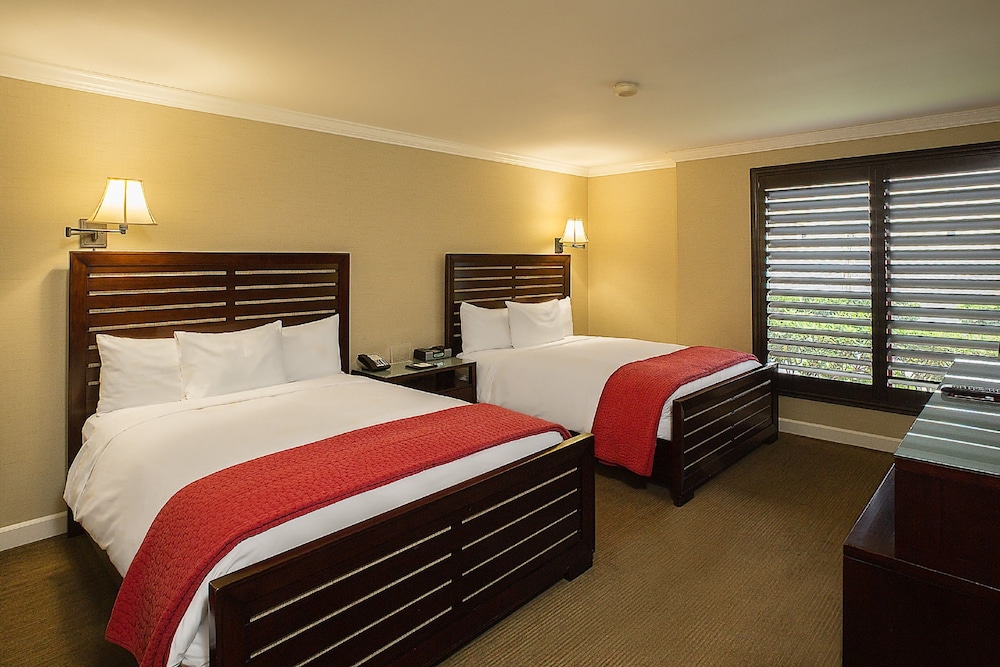 Cupertino Hotel - photo 6