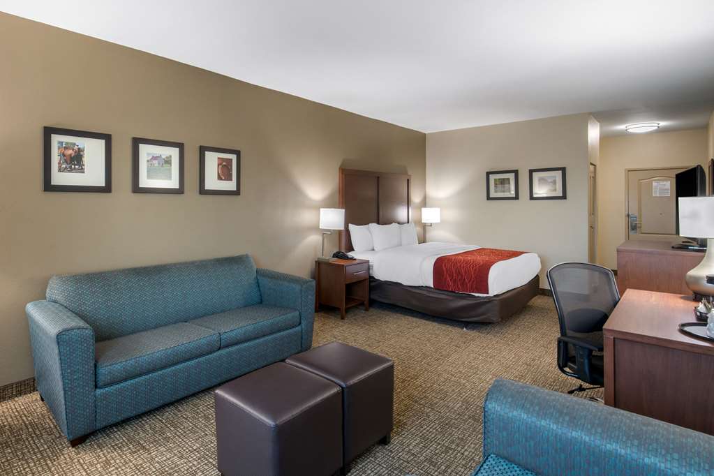 Comfort Inn & Suites Cedar Hill Duncanville - photo 19