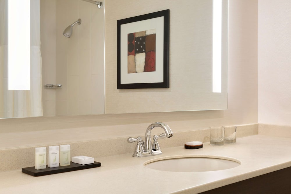 Embassy Suites by Hilton Chicago North Shore Deerfield - photo 36