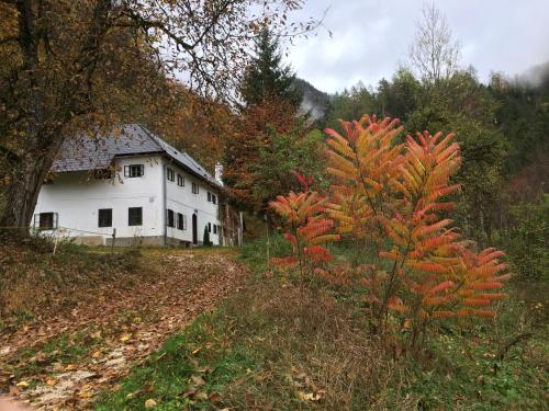 Forsthaus Gut Traunfried — Ramsau