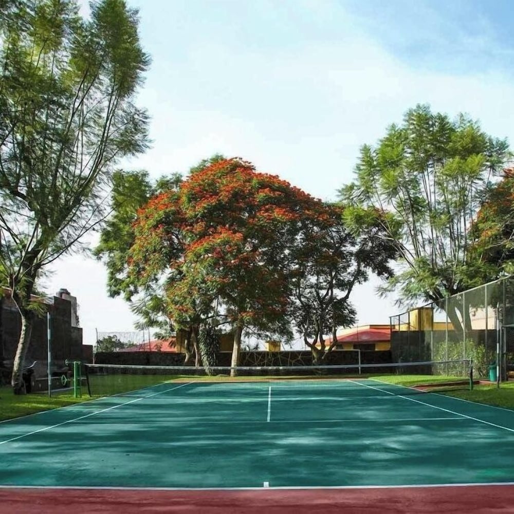 Tennis court