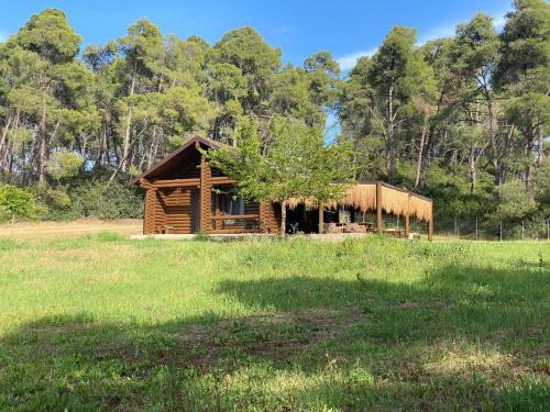 Wood house Halkidiki — 4-Star Luxury Hotel in Nea Fokaia, Greece