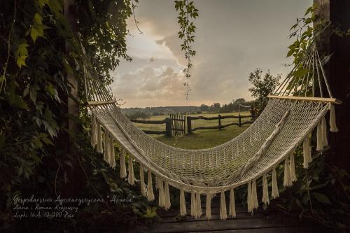 AZURIA agroturystyka in Pisz, Poland
