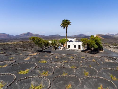 Petit La Geria Lanzarote in Tias, Spain