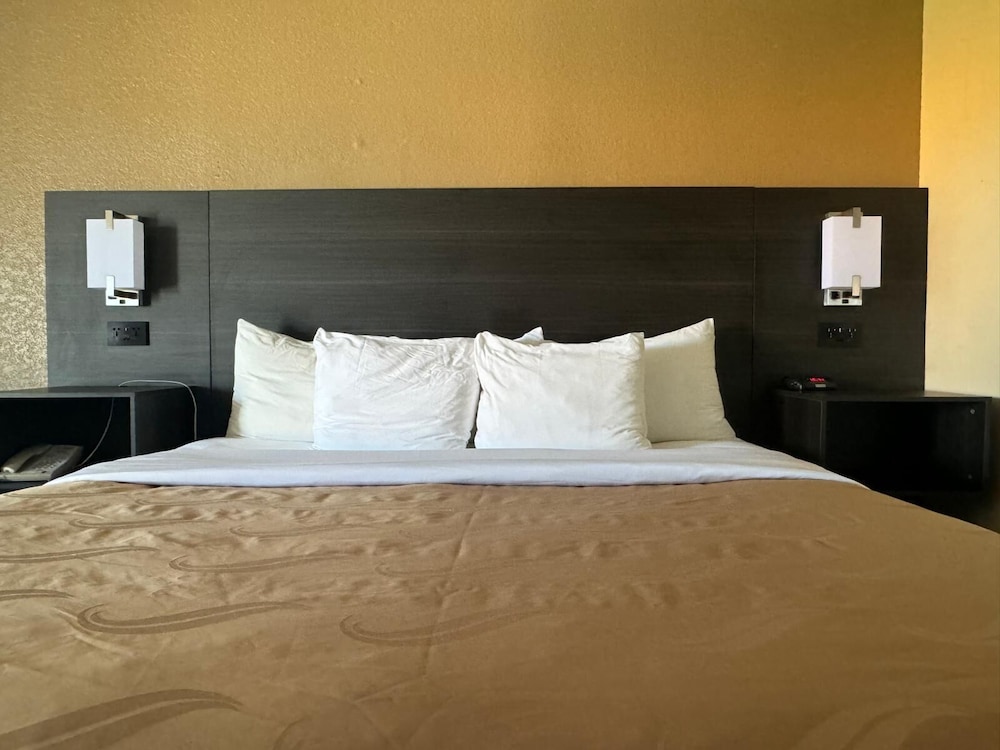 Quality Inn Kennedy Space Center - photo 10