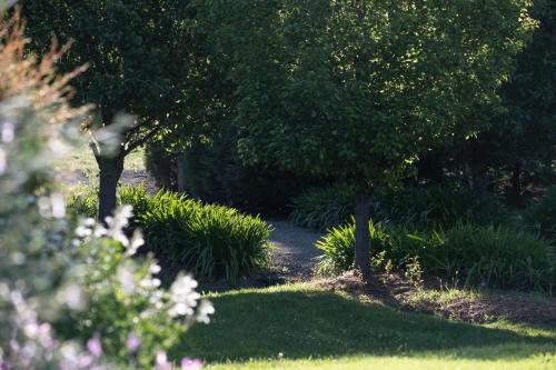Serendipity Kangaroo Valley — Unknown City — photo 4
