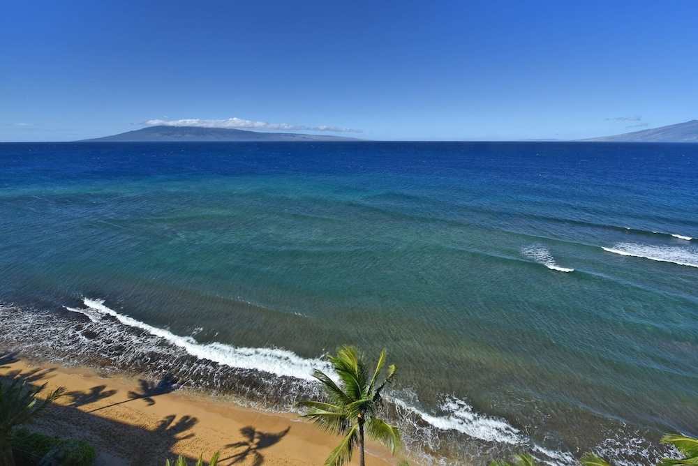 Mahana Resort #1204 1 Br Condo - photo 39