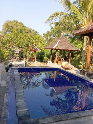 Citronella — Klungkung