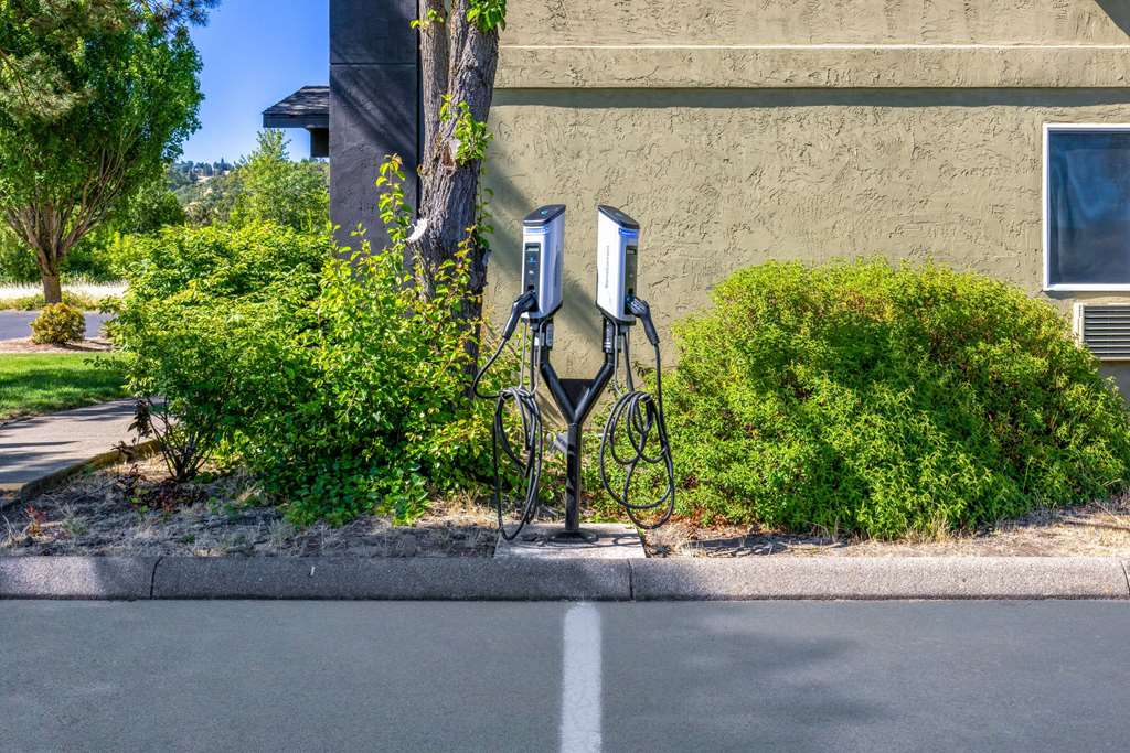Super 8 by Wyndham Roseburg - photo 38