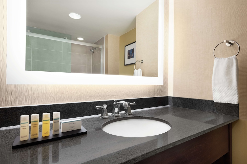 Embassy Suites by Hilton Cleveland Rockside - photo 24