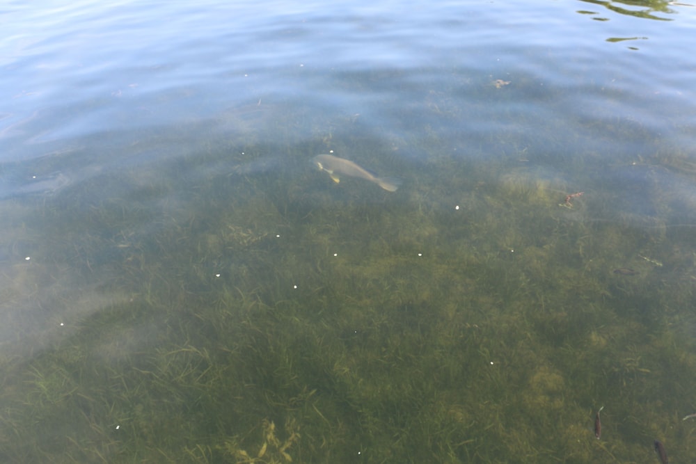 Lakeshore Vermont - photo 143