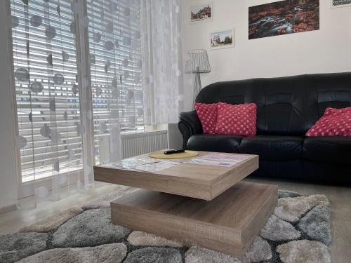 Horský apartmán Nový Javor s možností využití wellness — 4-Star Luxury Hotel in Zelezna Ruda, Czech Republic