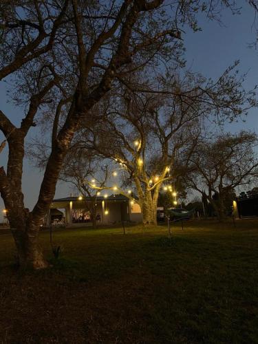 Los colibries — San Pedro — photo 4