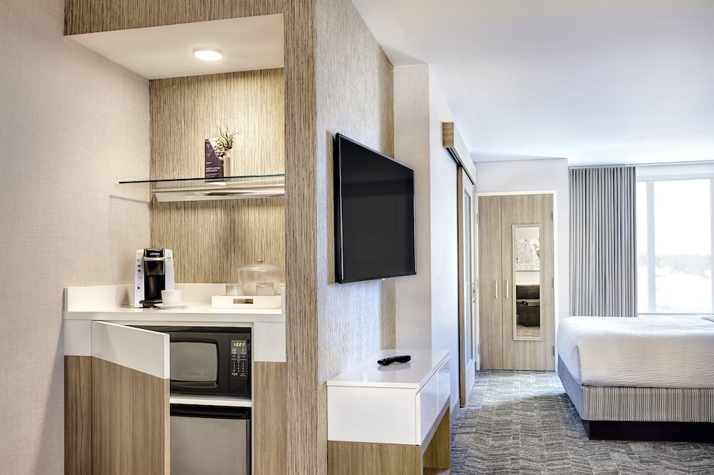 SpringHill Suites by Marriott Springfield North - photo 6