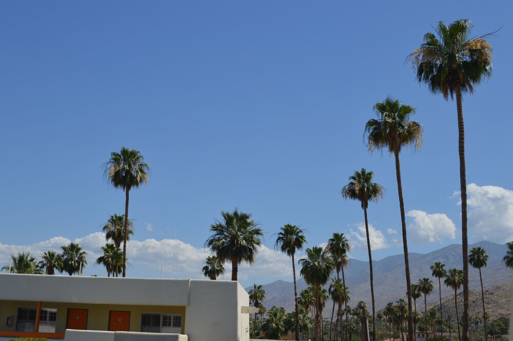 Musicland Hotel - photo 48