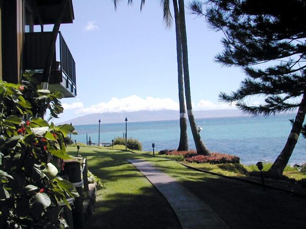 Polynesian Shores - photo 166