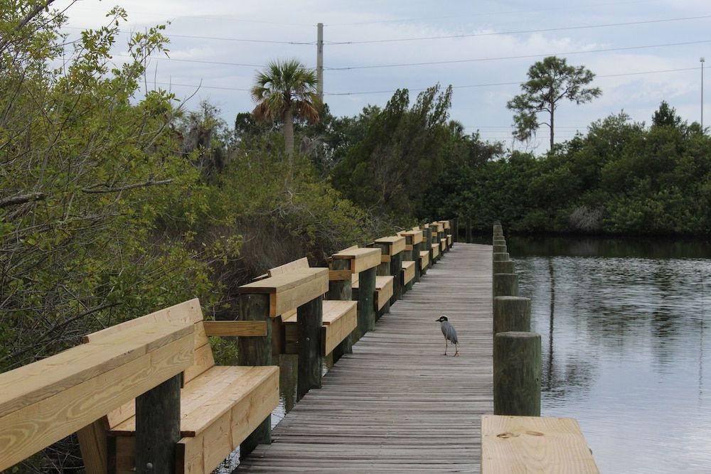Horseshoe Cove RV Resort - photo 15
