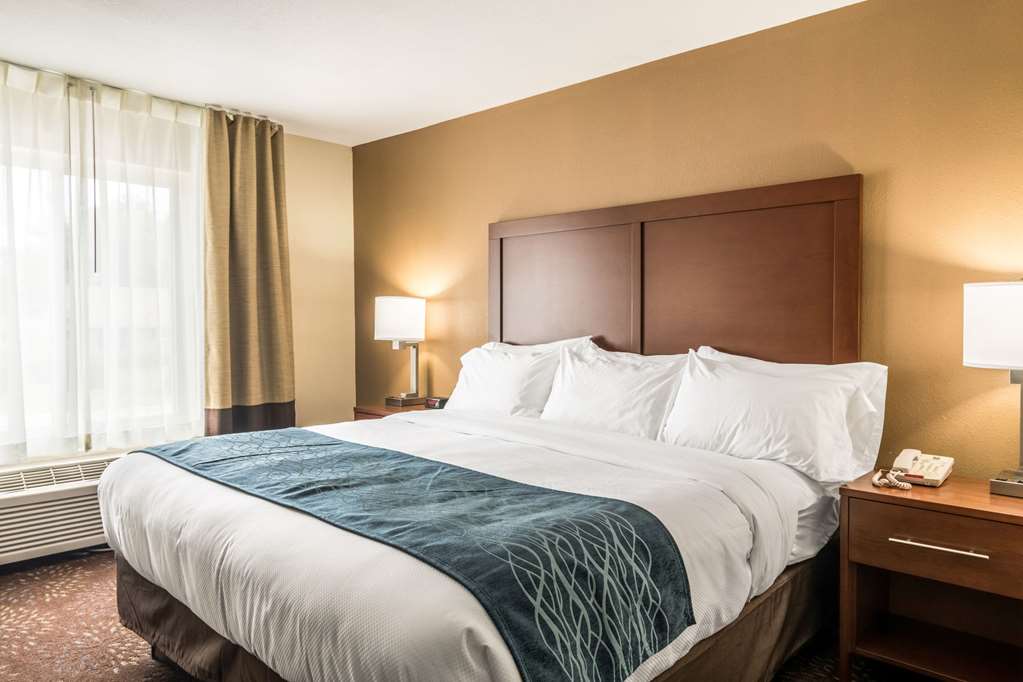 Comfort Inn & Suites Hannibal - photo 20