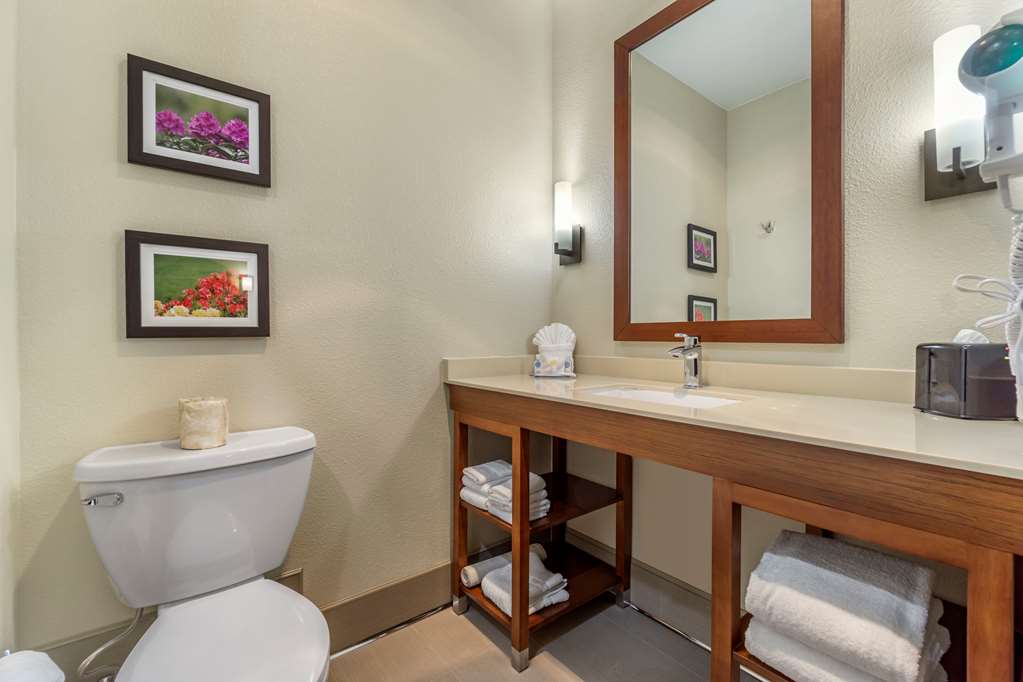 Comfort Inn & Suites Lakewood by JBLM - photo 19