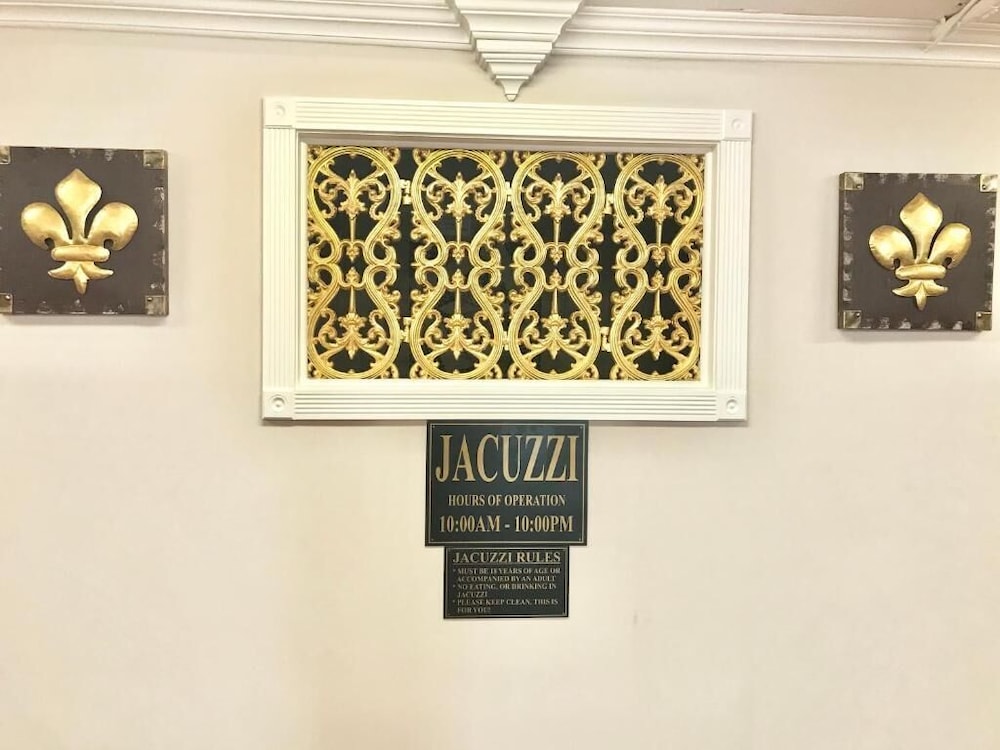 Plaza Suites Downtown New Orleans - photo 43