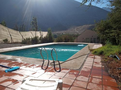 Casaelqui — Vicuna — photo 2