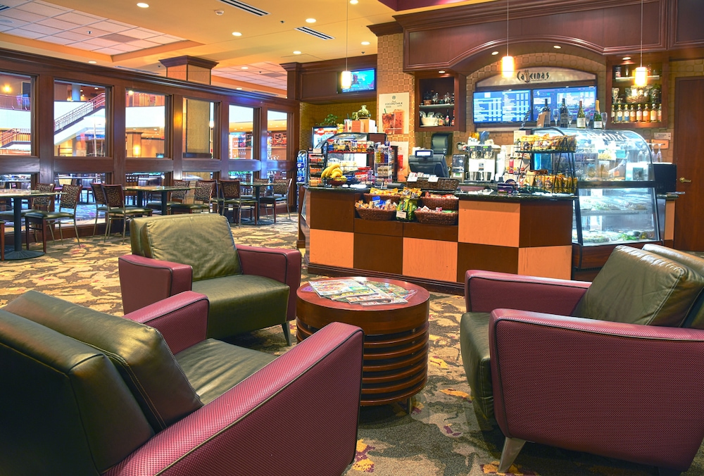 Embassy Suites by Hilton Charlotte Concord Golf Resort & Spa - photo 75