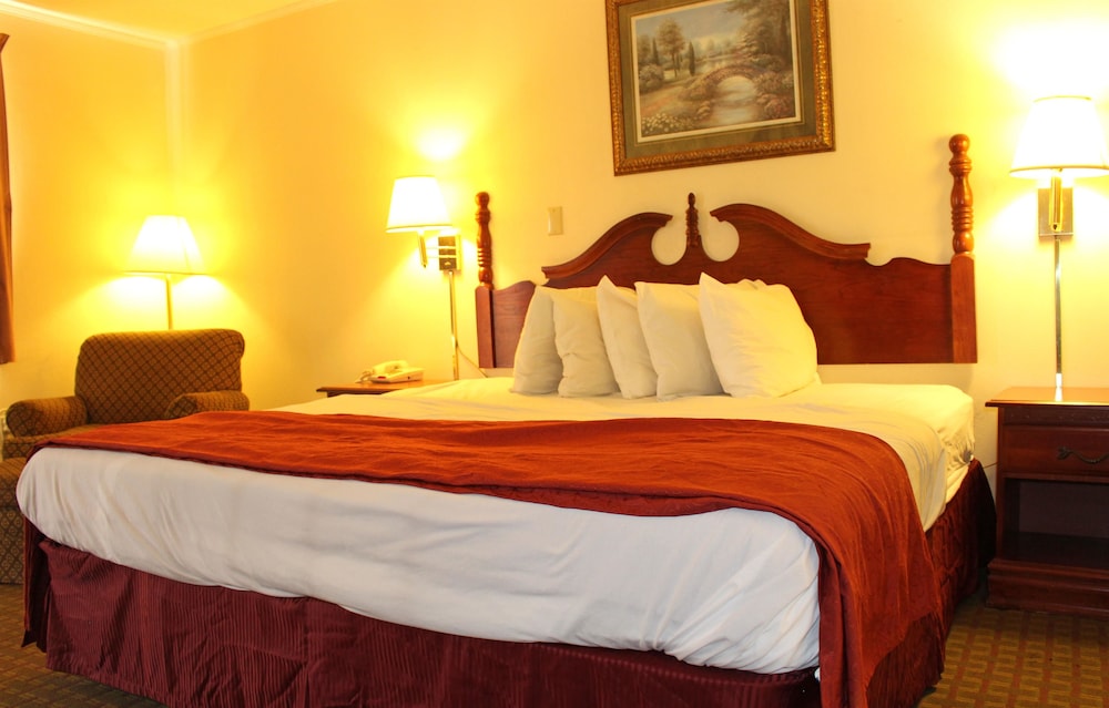 Lake View Inn & Suites - photo 5