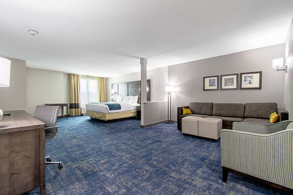 Comfort Suites Humble Houston IAH - photo 8