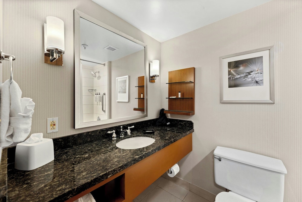 Delta Hotels by Marriott Mount Pleasant - photo 55