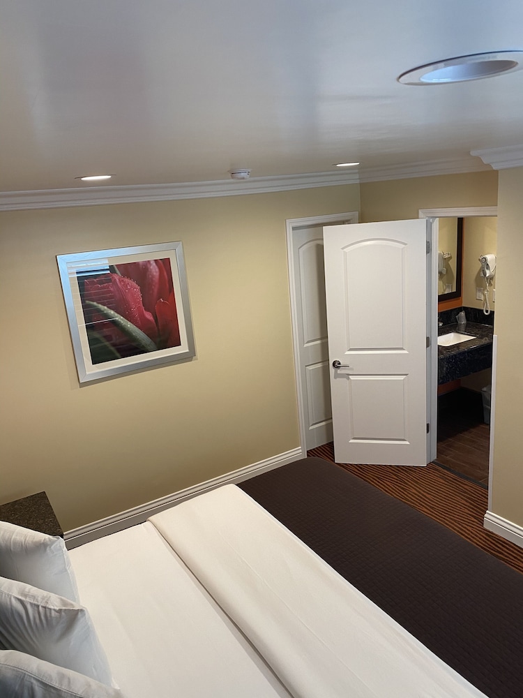 Convention Center Inn and Suites - photo 8