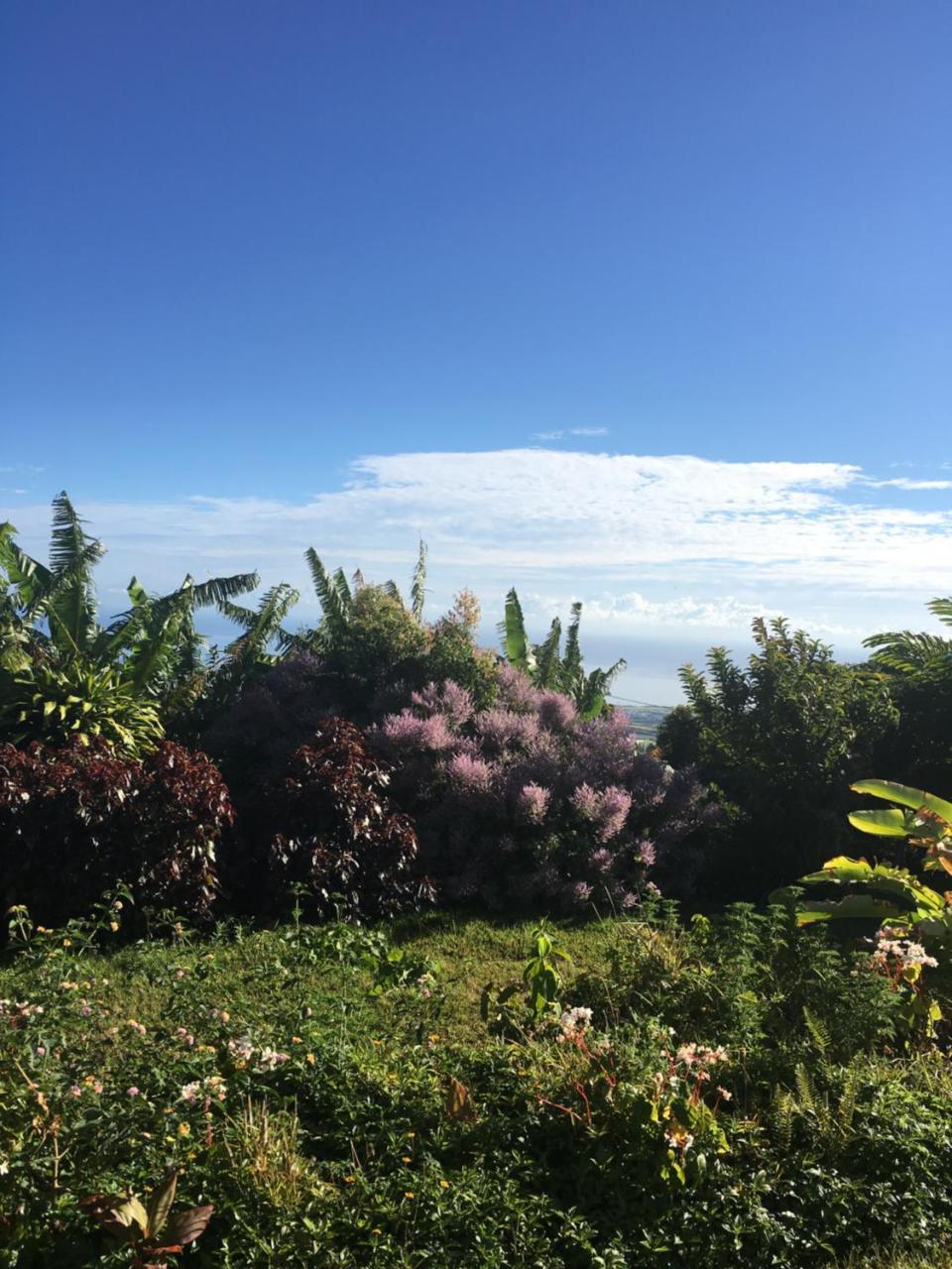 Cool Home — 4-Star Luxury Hotel in Sainte-Marie, Réunion