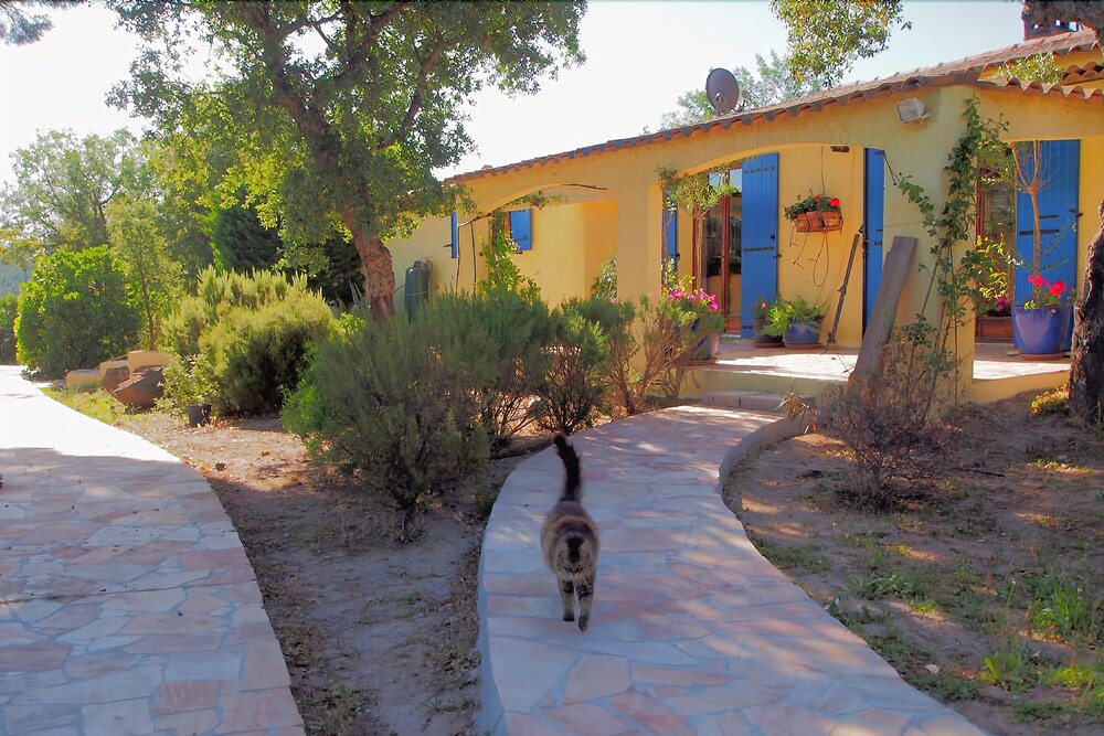 Le Mas du Rouquan — hotel in Vidauban