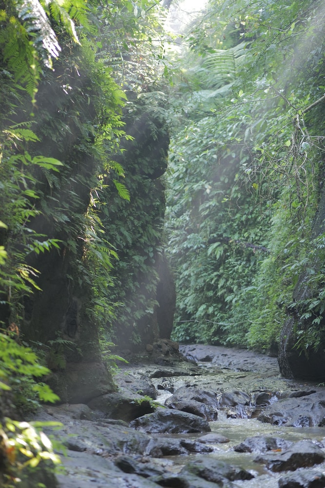Pramana Giri Kusuma in Payangan, Indonesia