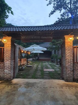 Mellowmoo Homestay — 4-Star Luxury Hotel in Ninh Binh, Vietnam